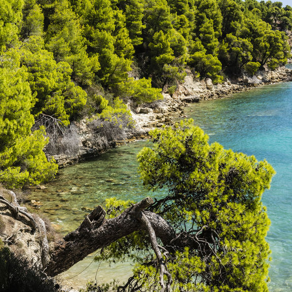 Alonissos Visithotels.Gr