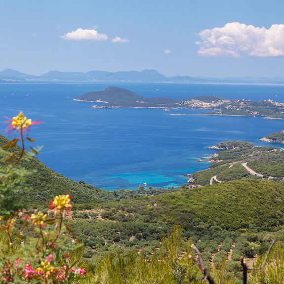 Thesprotia1 Visithotels.Gr