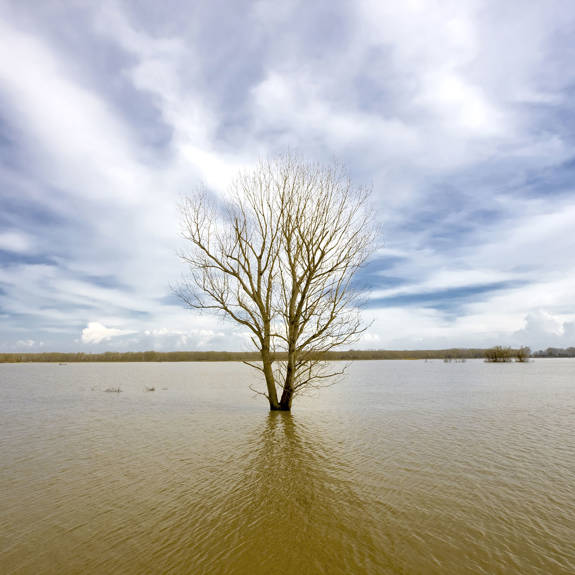 Evros Visithotels.Gr