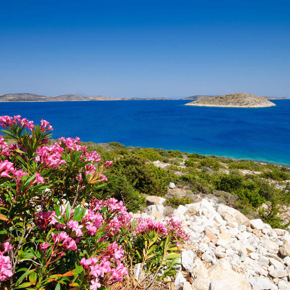 Schoinousa Visithotels.Gr