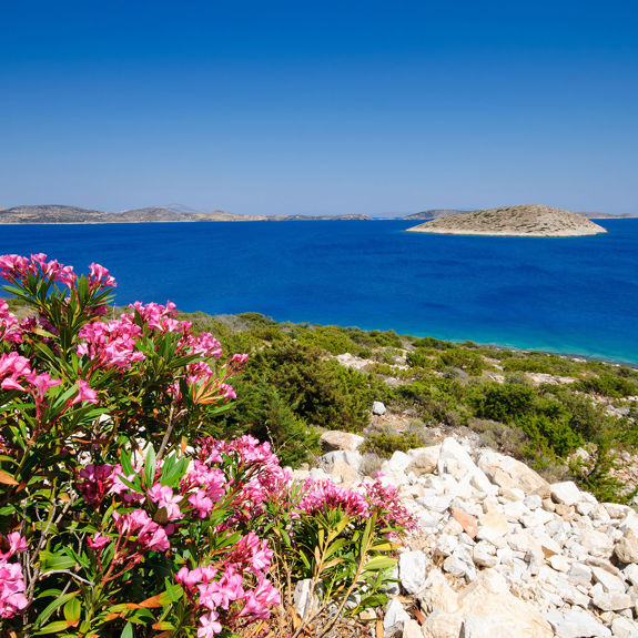 Schoinousa Visithotels.Gr